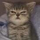 CE_Small emote for Discord