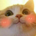 CE_Blush3 emote for Discord