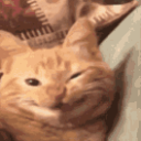 CE_WholesomeSmile emote for Discord
