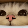 CE_Sniffsniff3 emote for Discord