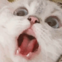 CE_SCREAMMMMMM4 emote for Discord