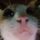 CE_Looking3 emote for Discord