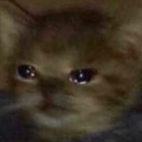 CE_SadCat11 emote for Discord