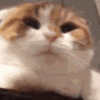 CE_Yawn2 emote for Discord