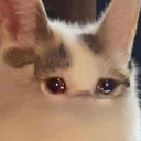 CE_UglyCry emote for Discord