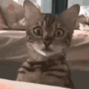 CE_Gone emote for Discord