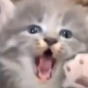 CE_SCREAMMMMMM3 emote for Discord