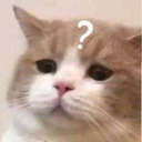 CE_CatQuestion emote for Discord