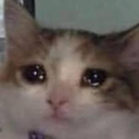 CE_Why emote for Discord