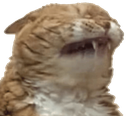 CE_inPain4 emote for Discord