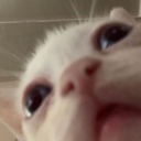 CE_whaaa emote for Discord