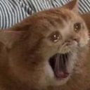 CE_SCREAMMMMMM2 emote for Discord