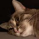 CE_RethinkingLife emote for Discord