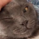 CE_Wink emote for Discord