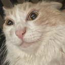 CE_CrazyLook emote for Discord