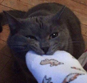 CE_Feet emote for Discord