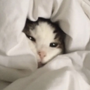 CE_AwakeButAtWhatCost2 emote for Discord