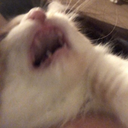 CE_inPain3 emote for Discord