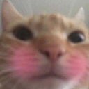 CE_Blush emote for Discord