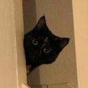 CE_Peek emote for Discord