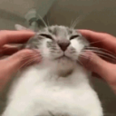 CE_Cope2 emote for Discord