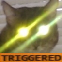 CE_CattoTriggered3 emote for Discord