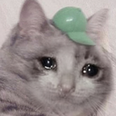 CE_sadcat10 emote for Discord