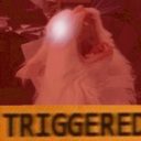 CE_CattoTriggered1 emote for Discord