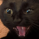 CE_AHHHHHH emote for Discord