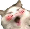 CE_Blush2 emote for Discord