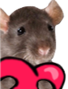CE_RatHeart emote for Discord