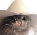 CE_SadCowboy emote for Discord