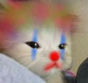 CE_ClownCat emote for Discord