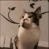 CE_EatFinger emote for Discord