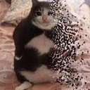 CE_sadchonkyfading emote for Discord