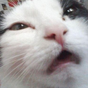 CE_confused2 emote for Discord