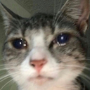 CE_PlsReply emote for Discord