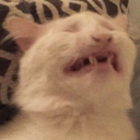 CE_inpain2 emote for Discord