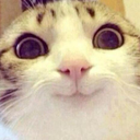 CE_Smile2 emote for Discord