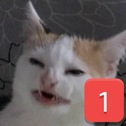 CE_SadCatPing emote for Discord