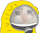CE_HazmatSuitSadCat static emote