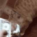 CE_makeitrain emote for Discord