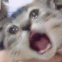 CE_SCREAMMMMMM emote for Discord