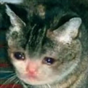 CE_SadCat emote for Discord