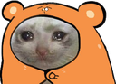 CE_Sad emote for Discord