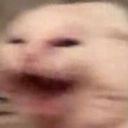CE_Shake emote for Discord