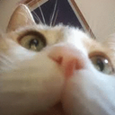 CE_look2 emote for Discord