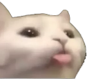 CE_Blep emote for Discord