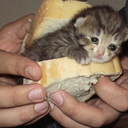CE_sammich emote for Discord
