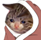 CE_CozySadBlanket emote for Discord